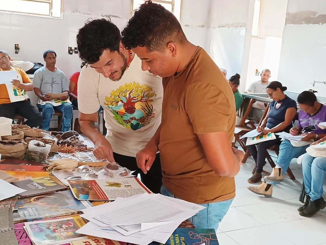 Restauração Produtiva: O Fortalecimento da Cadeia de Sementes no Norte de Minas