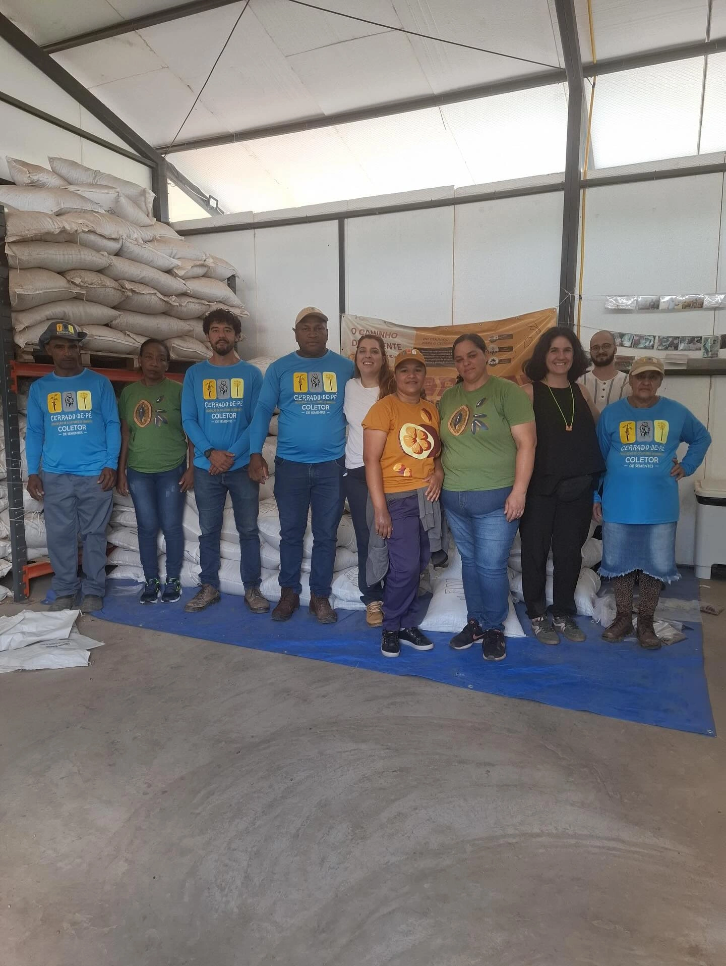 Sistematização e Escala: O Produto de Conhecimento do Instituto New Era para a Restauração do Cerrado