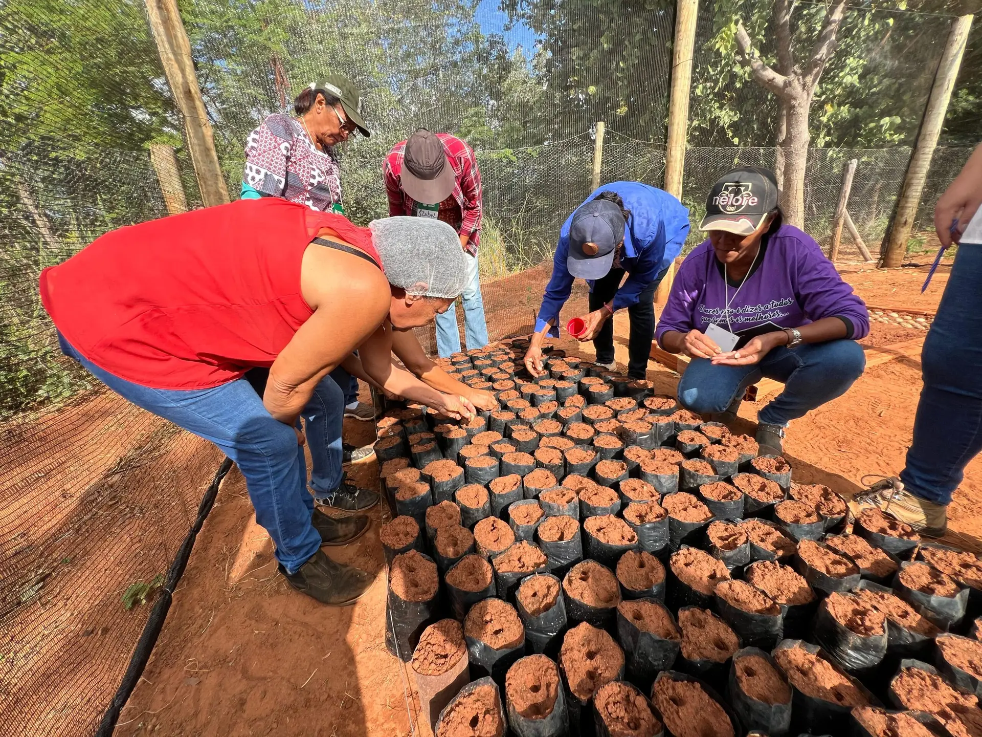 WhatsApp Image 2025-03-18 at 09.08.47 (1)