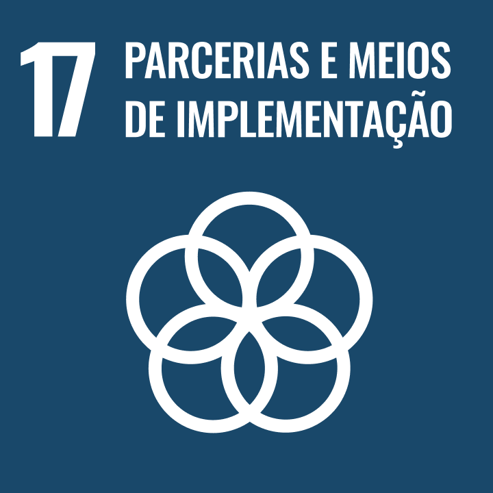 SDG-17 (1) 1
