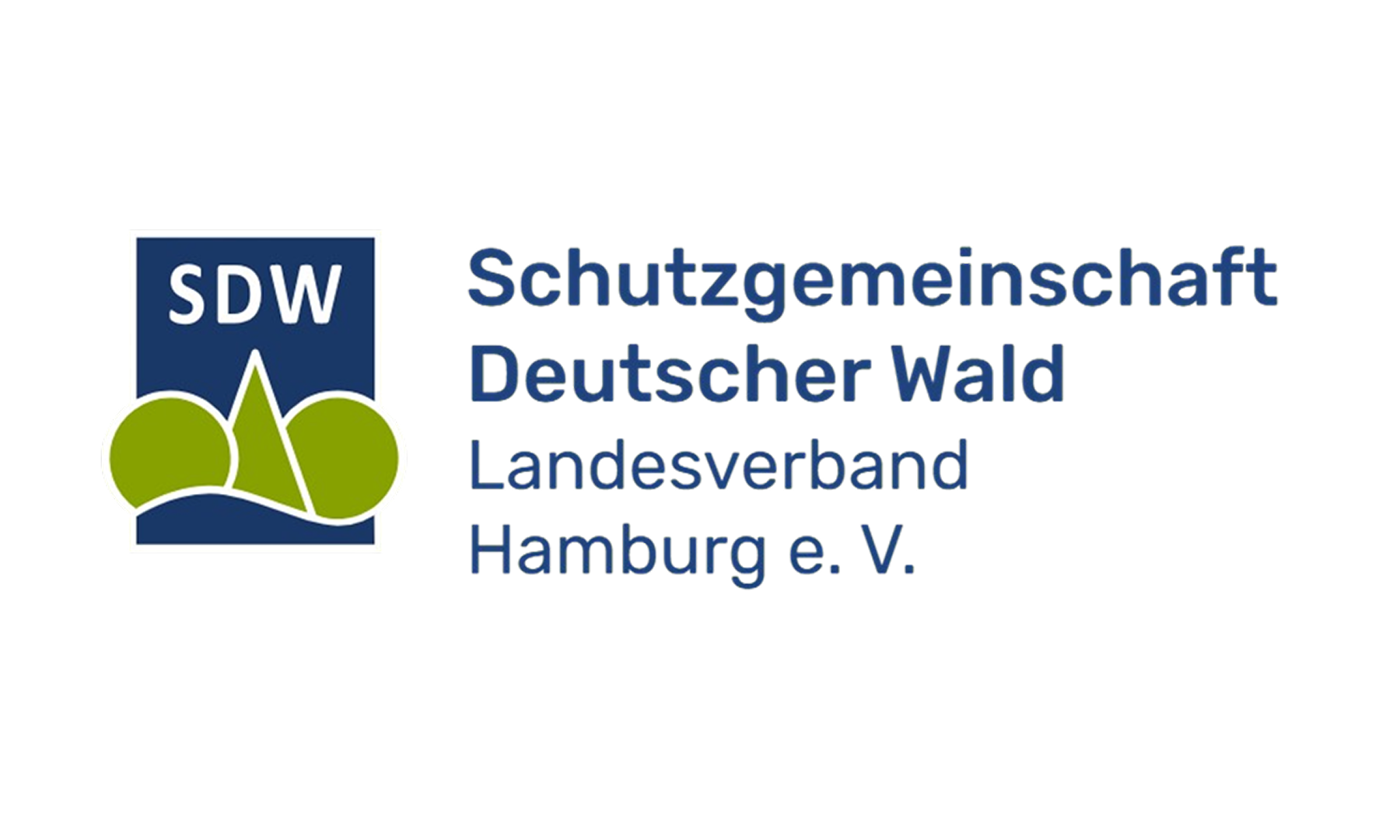 logo 13 (1)