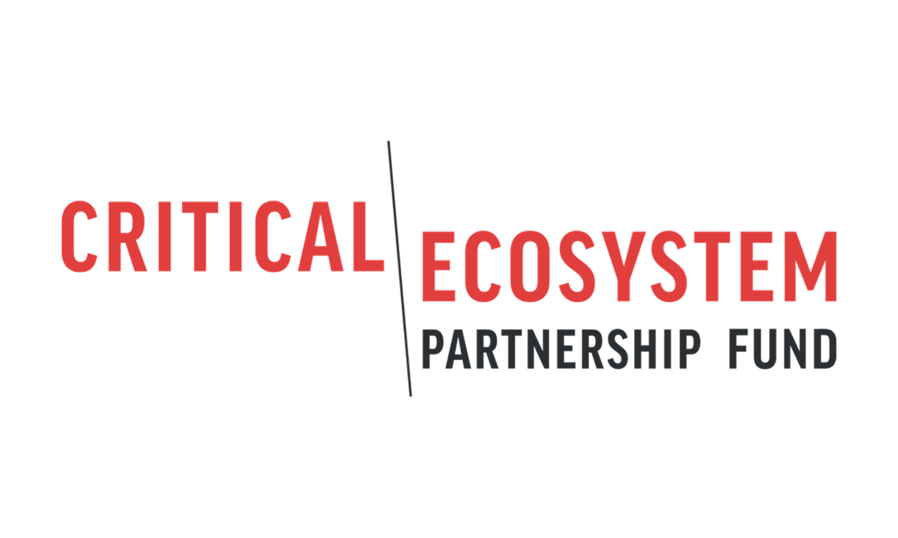 logo 8 (1)