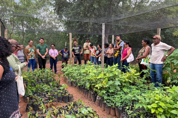 WhatsApp Image 2025-12-01 at 16.50.58