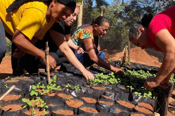 instituto.newera_504287205_17962378901928825_4748060574577562674_n