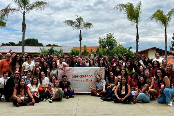 instituto.newera_516397668_17963120222928825_4849093171771953964_n